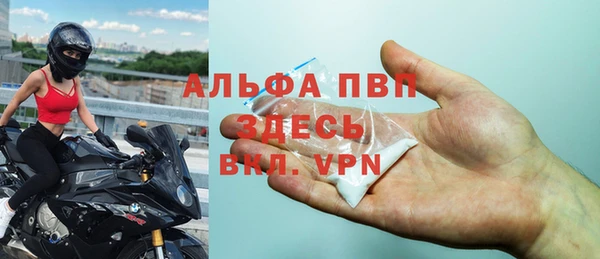 дмт Белокуриха