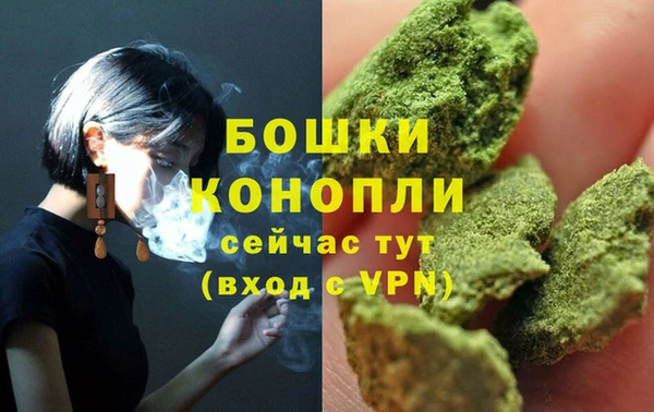 дмт Белокуриха