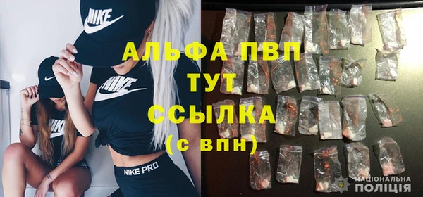 дмт Белокуриха