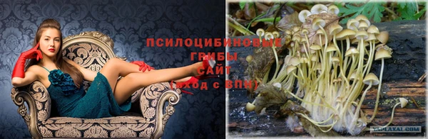 альфа пвп Беломорск