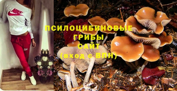 дмт Белокуриха